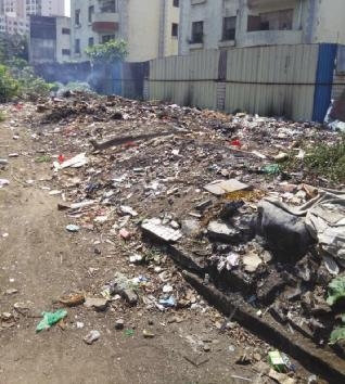 开云电竞_秋燥吃什么6种食物要多吃(图3) 开云电竞