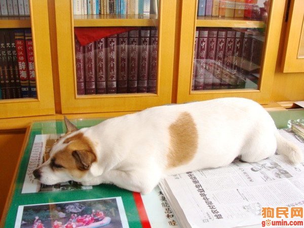 诊断丙肝需要做哪几项检查|开云电竞官网(图1) 开云电竞