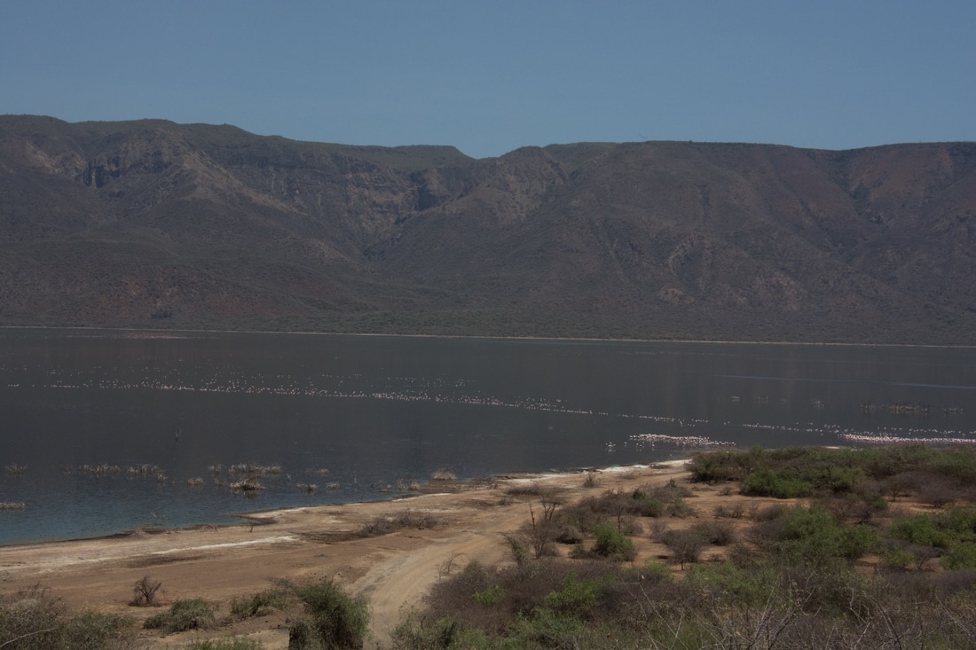 印度决定延长禁止进口中国牛奶及奶制品期限“开云电竞官网”(图1) 开云电竞app下载安装