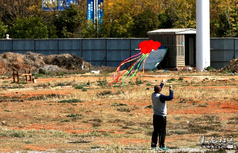 艾叶苦辛生温熟热艾姜煮鸡蛋改善女性寒性痛经症状_开云电竞(图1) 开云电竞app下载安装