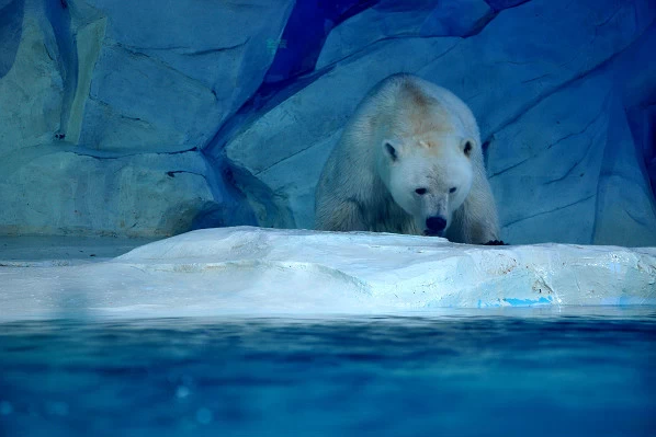 【开云电竞】足疗也有禁忌人群 哪些人不适合做足疗(图3) 开云电竞