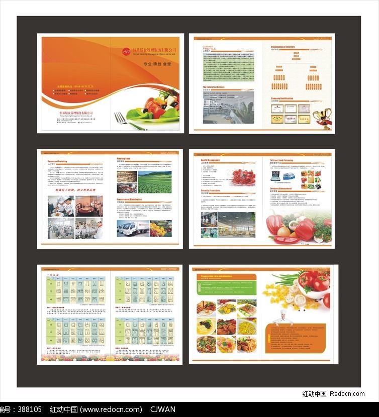 弘锐官方网站对记忆合金环抱器治疗多发性肋骨骨折的分析‘开云电竞官网’(图1) 开云电竞