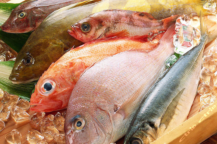 沈阳新东方员工:爱在新东方用行动诠释梦想‘开云电竞’(图1) 开云电竞官网