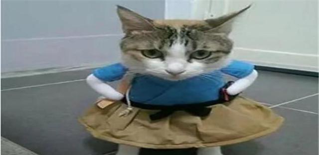 开云电竞app下载安装