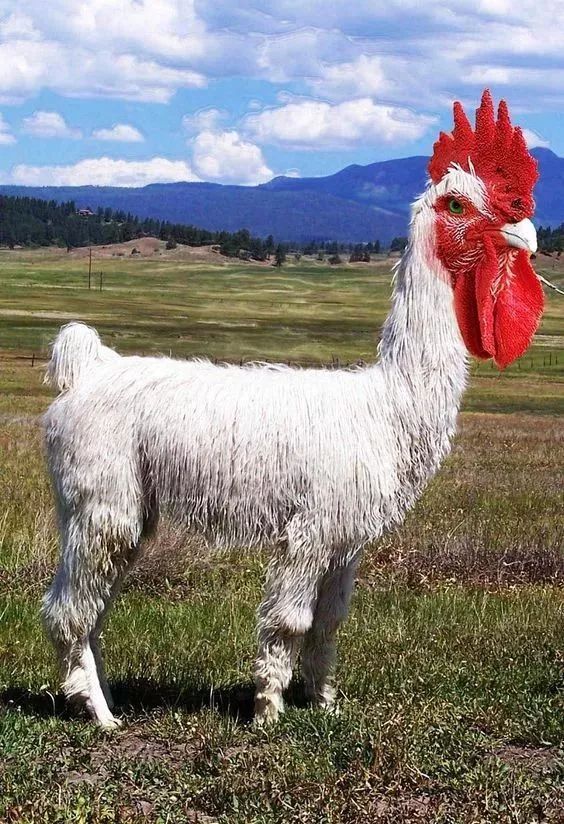 开云电竞官网_强直患友为什么经常觉得疲劳?(图1) 开云电竞app下载安装