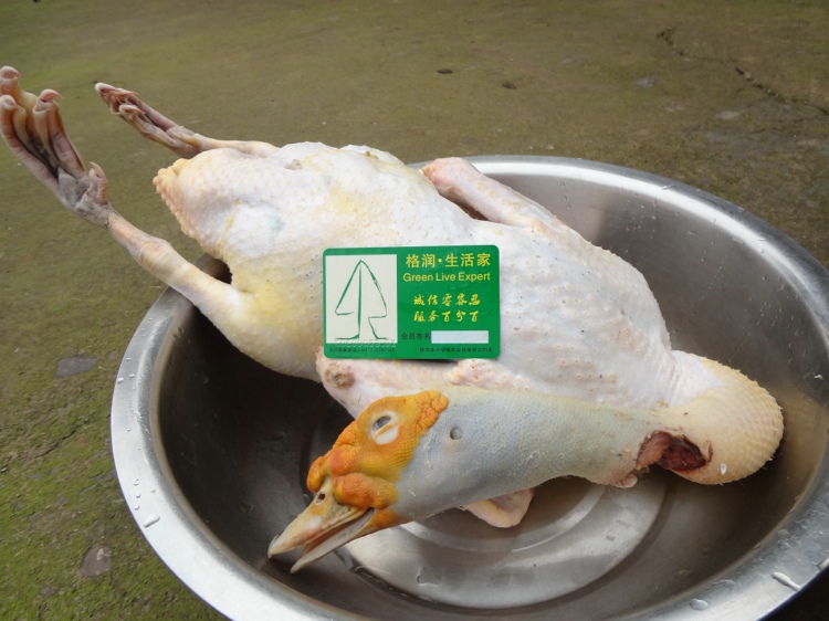 开云电竞app下载安装