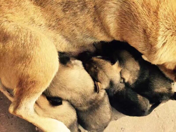 【开云电竞官网】工作太累身体疲劳如何缓解 养生佳品了解下(图1) 开云电竞