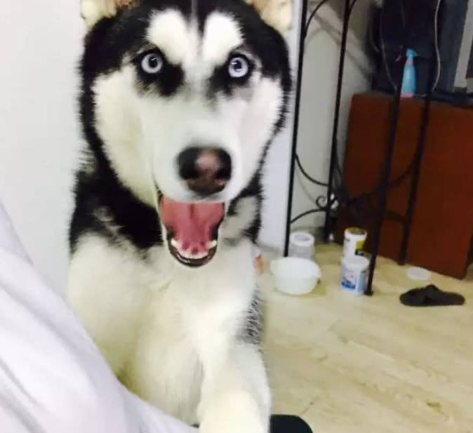 ‘开云电竞’重庆专治生殖器疱疹医院哪家好(图2) 开云电竞app下载安装