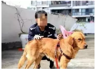 “开云电竞app下载安装”天府通航学院直升机教师郑倩:“硬核”女教师成长记(图2) 开云电竞app下载安装