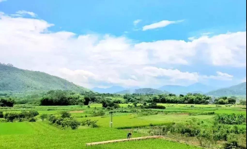 开云电竞官网|青海海南州职业教育为孩子插上翅膀(图1) 开云电竞官网