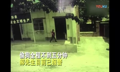 开云电竞app下载安装