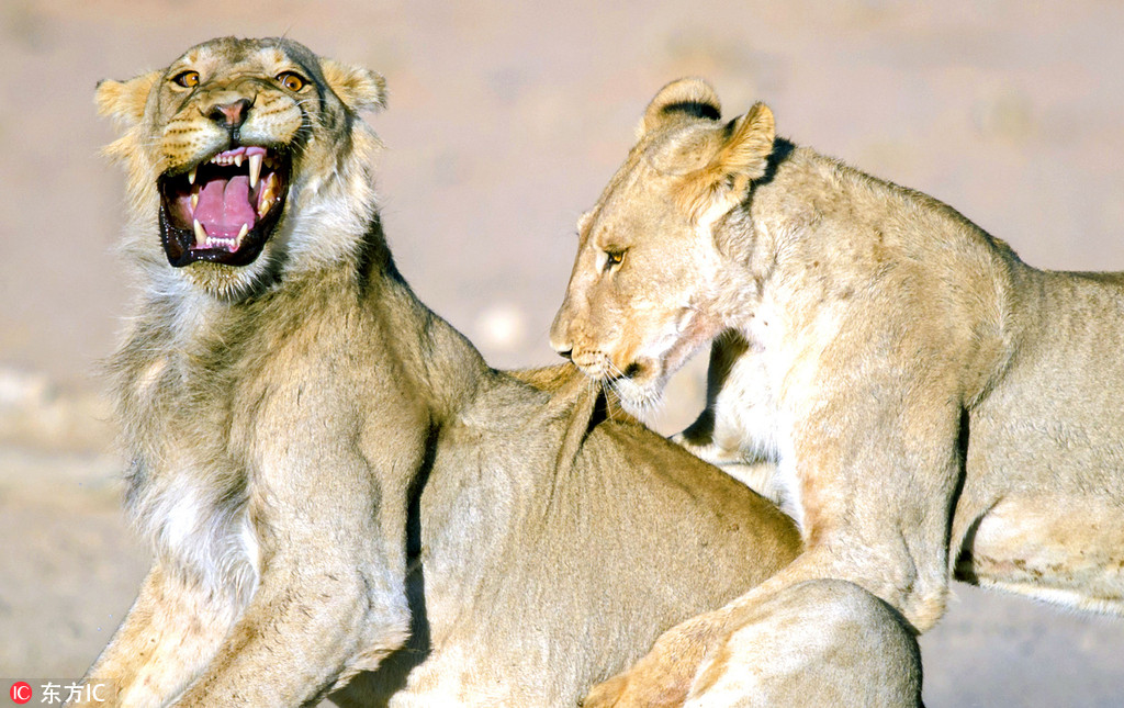 深圳福田探索职业教育新模式 培养“大国工匠”‘开云电竞’(图3) 开云电竞