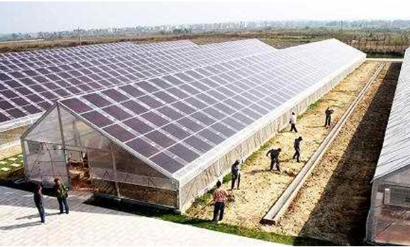 开云电竞app下载安装