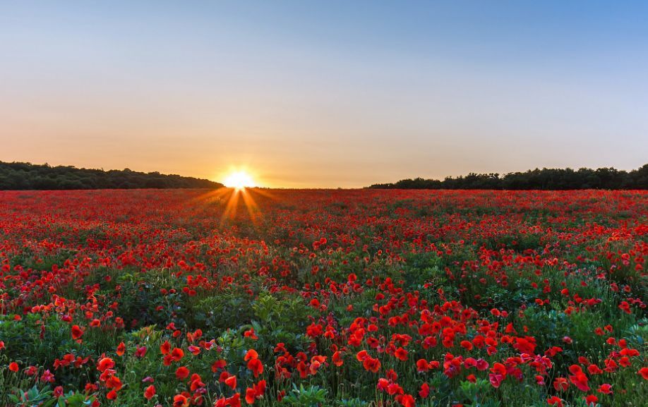 开云电竞app下载安装