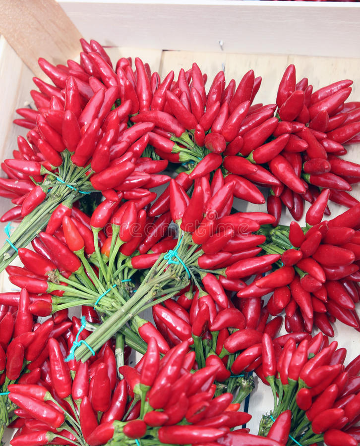 50多名内蒙古人大代表参观考察惠斯安普健康风险评估设备‘开云电竞app下载安装’(图4) 开云电竞官网