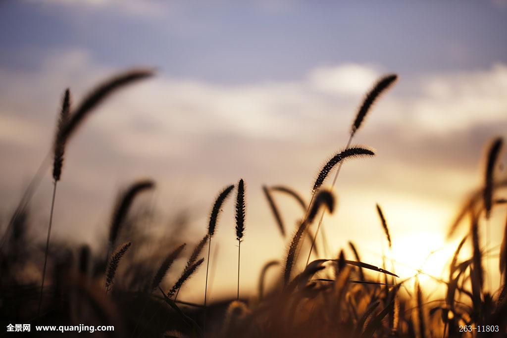 ‘开云电竞官网’长沙民政职技学院:346名孤残学生免费上大学(图4) 开云电竞官网