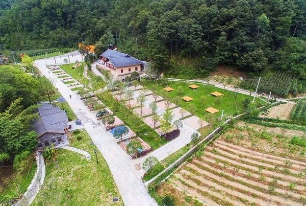 毕节痛风专科医院讲解痛风如何分类的?|开云电竞app下载安装(图4) 开云电竞