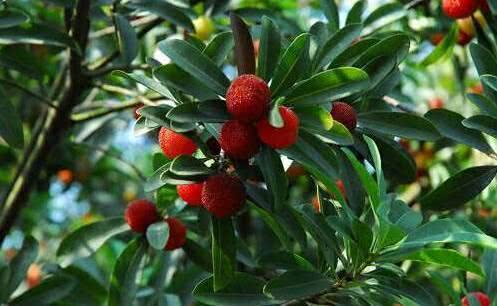 三甲医院急救设备的管理体会-弘锐护理设备【开云电竞app下载安装】(图1) 开云电竞官网