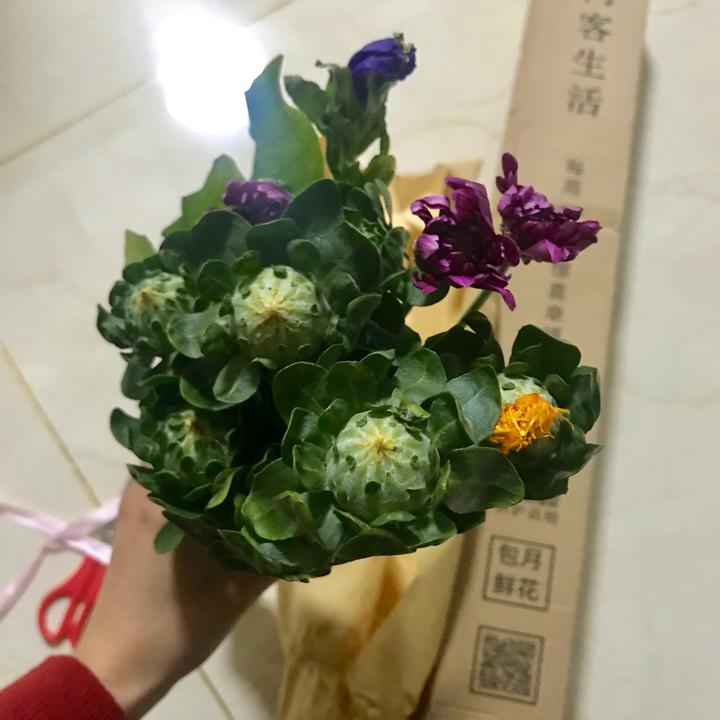 大连疤痕植发:开云电竞官网(图1) 开云电竞