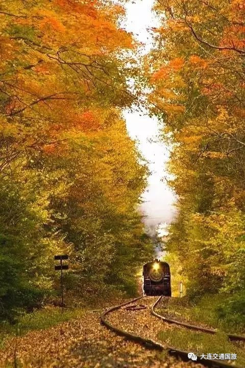 开云电竞官网:南京市好的皮肤科医院是哪个(图1) 开云电竞