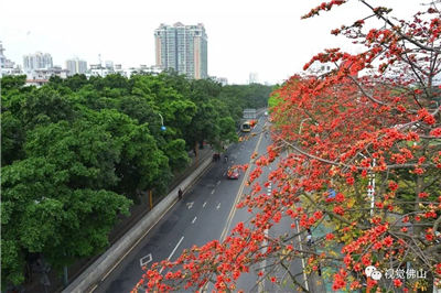 食药总局为整治婴幼儿乳粉连发三令【开云电竞官网】(图1) 开云电竞